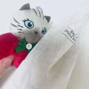 ヒメ日記 2025/05/02 16:41 投稿 あずにゃん 上野デリヘル倶楽部