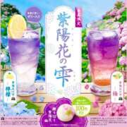 ヒメ日記 2025/05/29 05:15 投稿 あずにゃん 上野デリヘル倶楽部