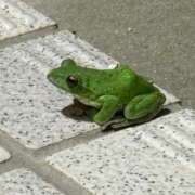 ヒメ日記 2025/06/10 16:28 投稿 あずにゃん 上野デリヘル倶楽部