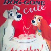 ヒメ日記 2025/06/14 15:13 投稿 あずにゃん 上野デリヘル倶楽部