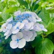 ヒメ日記 2025/06/24 11:01 投稿 あずにゃん 上野デリヘル倶楽部