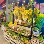 ヒメ日記 2025/08/09 10:01 投稿 あずにゃん 上野デリヘル倶楽部