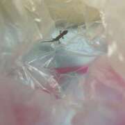 ヒメ日記 2025/10/02 12:23 投稿 あずにゃん 上野デリヘル倶楽部