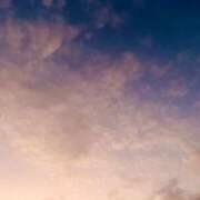 ヒメ日記 2025/11/23 17:46 投稿 あずにゃん 上野デリヘル倶楽部