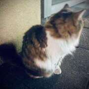 ヒメ日記 2026/02/07 10:00 投稿 あずにゃん 上野デリヘル倶楽部