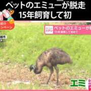 ヒメ日記 2024/05/04 01:41 投稿 りんな～マット＆M性感～ アメイジングビル～道後最大級！遊び方無限大∞ヘルス♪～