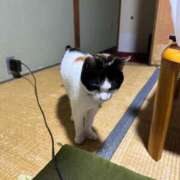 ヒメ日記 2025/03/11 08:34 投稿 りんな～マット＆M性感～ アメイジングビル～道後最大級！遊び方無限大∞ヘルス♪～