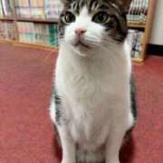 ヒメ日記 2025/03/21 14:25 投稿 りんな～マット＆M性感～ アメイジングビル～道後最大級！遊び方無限大∞ヘルス♪～