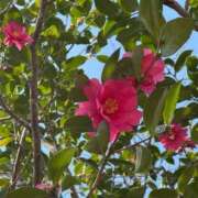 ヒメ日記 2025/03/24 12:57 投稿 りんな～マット＆M性感～ アメイジングビル～道後最大級！遊び方無限大∞ヘルス♪～