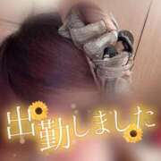 ヒメ日記 2025/06/05 12:48 投稿 りんな～マット＆M性感～ アメイジングビル～道後最大級！遊び方無限大∞ヘルス♪～