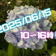 ヒメ日記 2025/06/15 03:14 投稿 りんな～マット＆M性感～ アメイジングビル～道後最大級！遊び方無限大∞ヘルス♪～