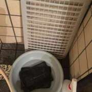 ヒメ日記 2026/02/08 16:46 投稿 りんな～マット＆M性感～ アメイジングビル～道後最大級！遊び方無限大∞ヘルス♪～