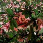 ヒメ日記 2026/04/15 16:54 投稿 りんな～マット＆M性感～ アメイジングビル～道後最大級！遊び方無限大∞ヘルス♪～