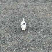 ヒメ日記 2026/04/27 01:14 投稿 りんな～マット＆M性感～ アメイジングビル～道後最大級！遊び方無限大∞ヘルス♪～