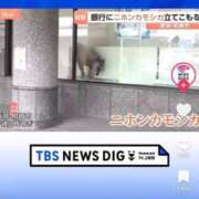 ヒメ日記 2026/04/28 12:37 投稿 りんな～マット＆M性感～ アメイジングビル～道後最大級！遊び方無限大∞ヘルス♪～