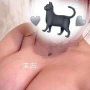 ヒメ日記 2026/04/12 13:03 投稿 ☆まお☆清楚でロリってるH乳娘 プロポーション オキナワ