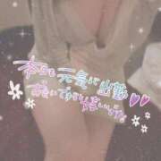 ヒメ日記 2025/03/31 09:19 投稿 りく ソープランド AQUA（アクア）