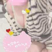 ヒメ日記 2025/10/08 09:06 投稿 りく ソープランド AQUA（アクア）