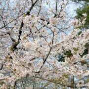 ヒメ日記 2025/04/06 12:30 投稿 ちい ～優しい若妻倶楽部～Mrs.女神