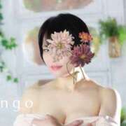 ヒメ日記 2025/02/01 23:35 投稿 りんご クラブ貴公子