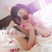 ヒメ日記 2025/04/27 06:30 投稿 りんご クラブ貴公子