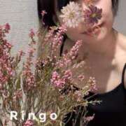 ヒメ日記 2025/05/05 01:56 投稿 りんご クラブ貴公子