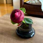 ヒメ日記 2025/05/28 08:23 投稿 りんご クラブ貴公子