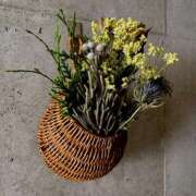 ヒメ日記 2025/07/30 10:14 投稿 りんご クラブ貴公子