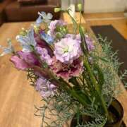 ヒメ日記 2025/11/10 23:32 投稿 りんご クラブ貴公子