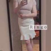 ヒメ日記 2025/11/13 06:44 投稿 りんご クラブ貴公子