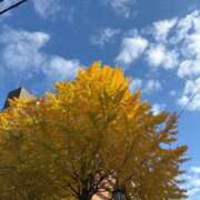 ヒメ日記 2025/11/29 19:05 投稿 りんご クラブ貴公子