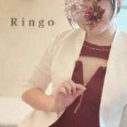 りんご 推し活 クラブ貴公子