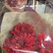 りんご 花束みたいな恋をした クラブ貴公子