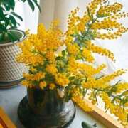 ヒメ日記 2026/03/03 07:08 投稿 りんご クラブ貴公子