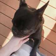 ヒメ日記 2025/09/30 18:59 投稿 まゆみ One More奥様　八王子店