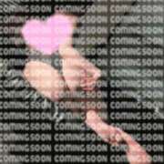 ヒメ日記 2024/12/16 03:46 投稿 おとは 変態なんでも鑑定団