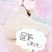 ヒメ日記 2024/12/20 01:26 投稿 おとは 変態なんでも鑑定団