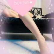 ヒメ日記 2025/01/17 01:56 投稿 おとは 変態なんでも鑑定団