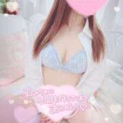 ヒメ日記 2025/02/17 02:16 投稿 おとは 変態なんでも鑑定団