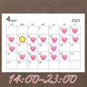 ヒメ日記 2025/03/31 00:36 投稿 おとは 変態なんでも鑑定団