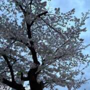 ヒメ日記 2025/03/31 14:29 投稿 おとは 変態なんでも鑑定団