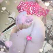 ヒメ日記 2025/04/03 22:18 投稿 おとは 変態なんでも鑑定団