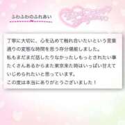 ヒメ日記 2025/04/04 21:26 投稿 おとは 変態なんでも鑑定団