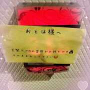 ヒメ日記 2025/05/17 23:56 投稿 おとは 変態なんでも鑑定団