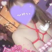 ヒメ日記 2025/07/29 14:16 投稿 おとは 変態なんでも鑑定団