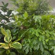 ヒメ日記 2025/08/11 19:13 投稿 おとは 変態なんでも鑑定団