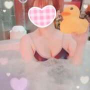 ヒメ日記 2025/09/10 16:48 投稿 おとは 変態なんでも鑑定団