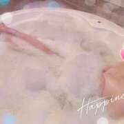 ヒメ日記 2026/02/10 02:06 投稿 おとは 変態なんでも鑑定団