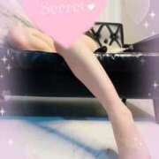 ヒメ日記 2026/02/14 12:26 投稿 おとは 変態なんでも鑑定団