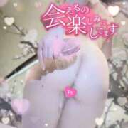 ヒメ日記 2026/04/01 00:56 投稿 おとは 変態なんでも鑑定団